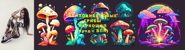 соль ск Богданович