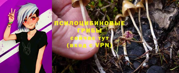 PSILOCYBIN Магас